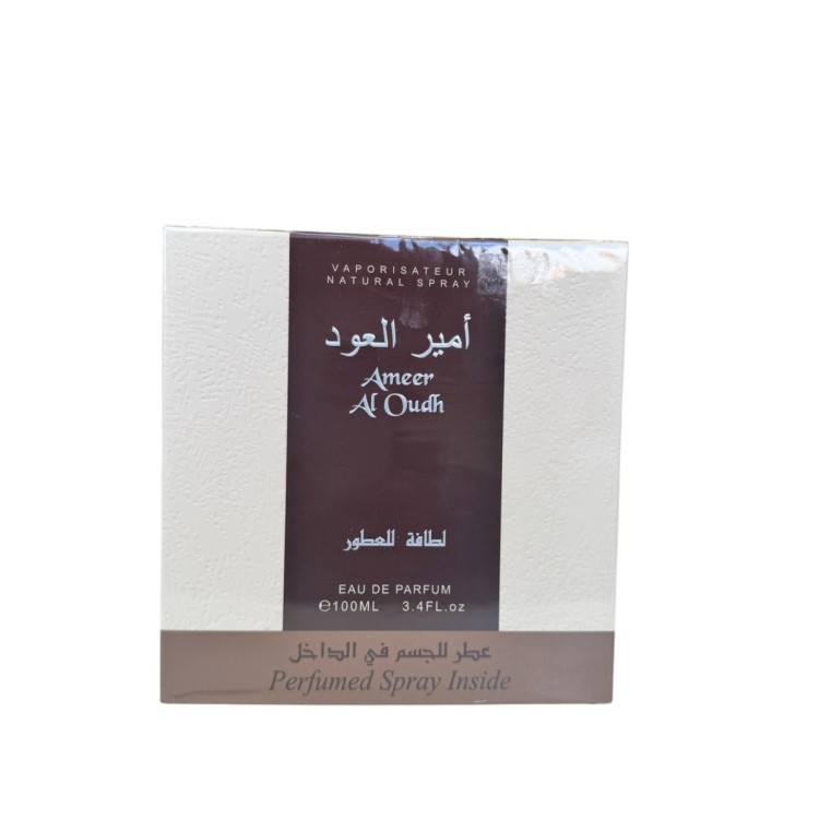 Ameer AL Oud