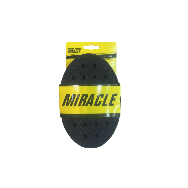 Miracle Sponge #R